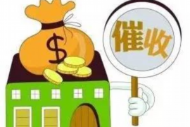 承德如何避免债务纠纷？专业追讨公司教您应对之策